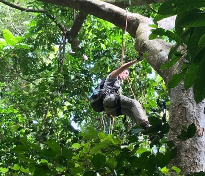 il progetto per i binturong