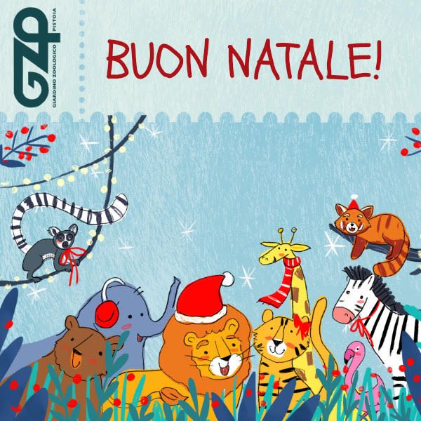 gzp gift card natale