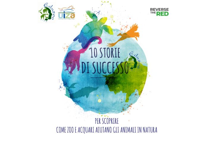 10 Storie di Successo