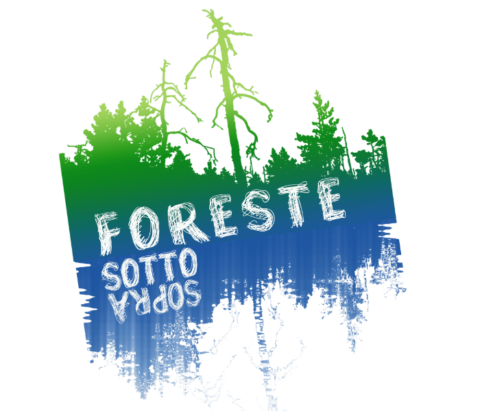 Foreste Sottosopra: alla scoperta delle foreste del Pianeta!