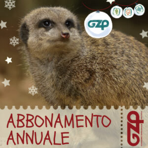 abbonamento annuale natale