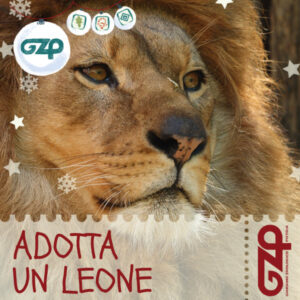 adotta un leone natale