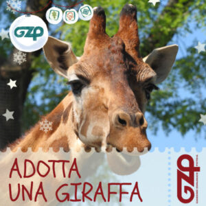 adotta una giraffa natale
