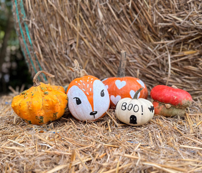 Autunno al GZP!